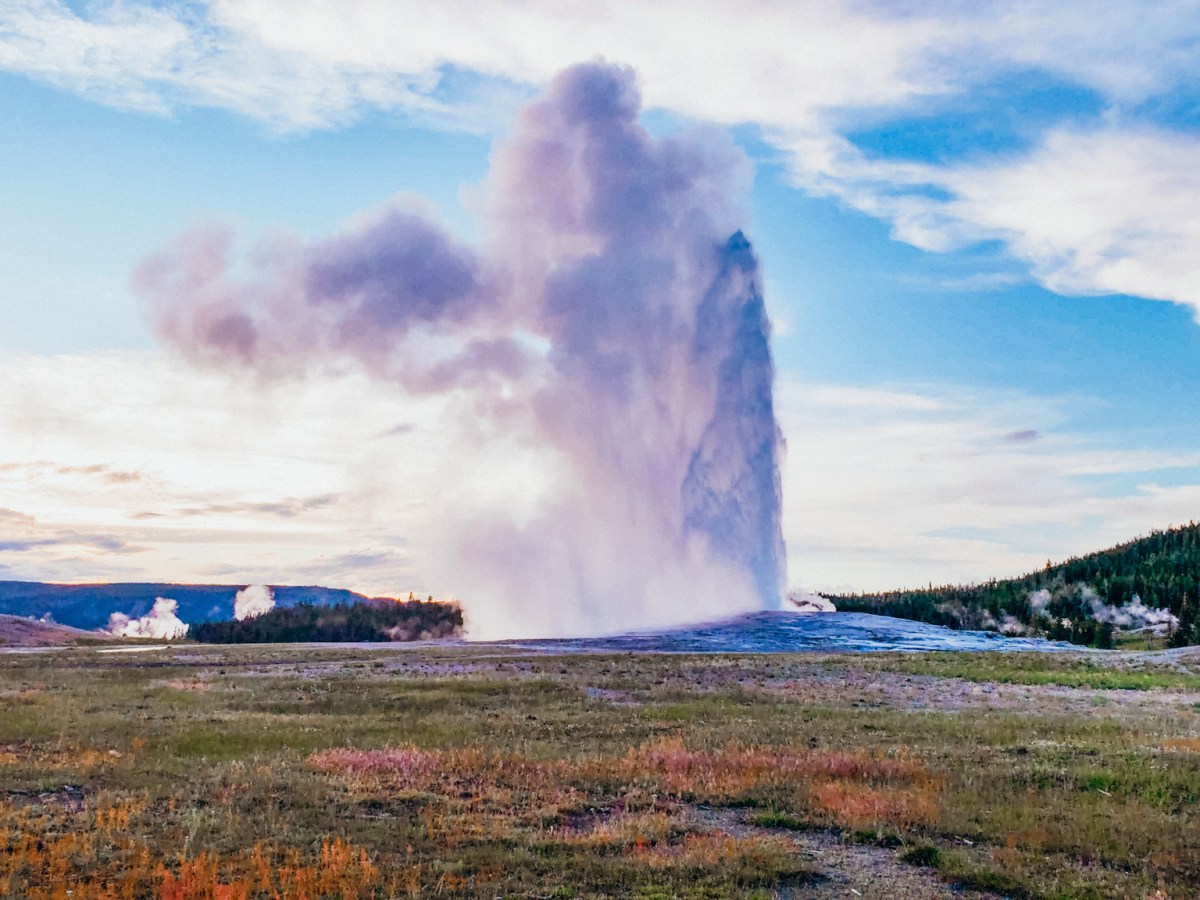 Yellowstone’s Icons and Wild Beauty: Mammoth Hot Springs, Wildlife, and Sunset at Old&nbsp;Faithful