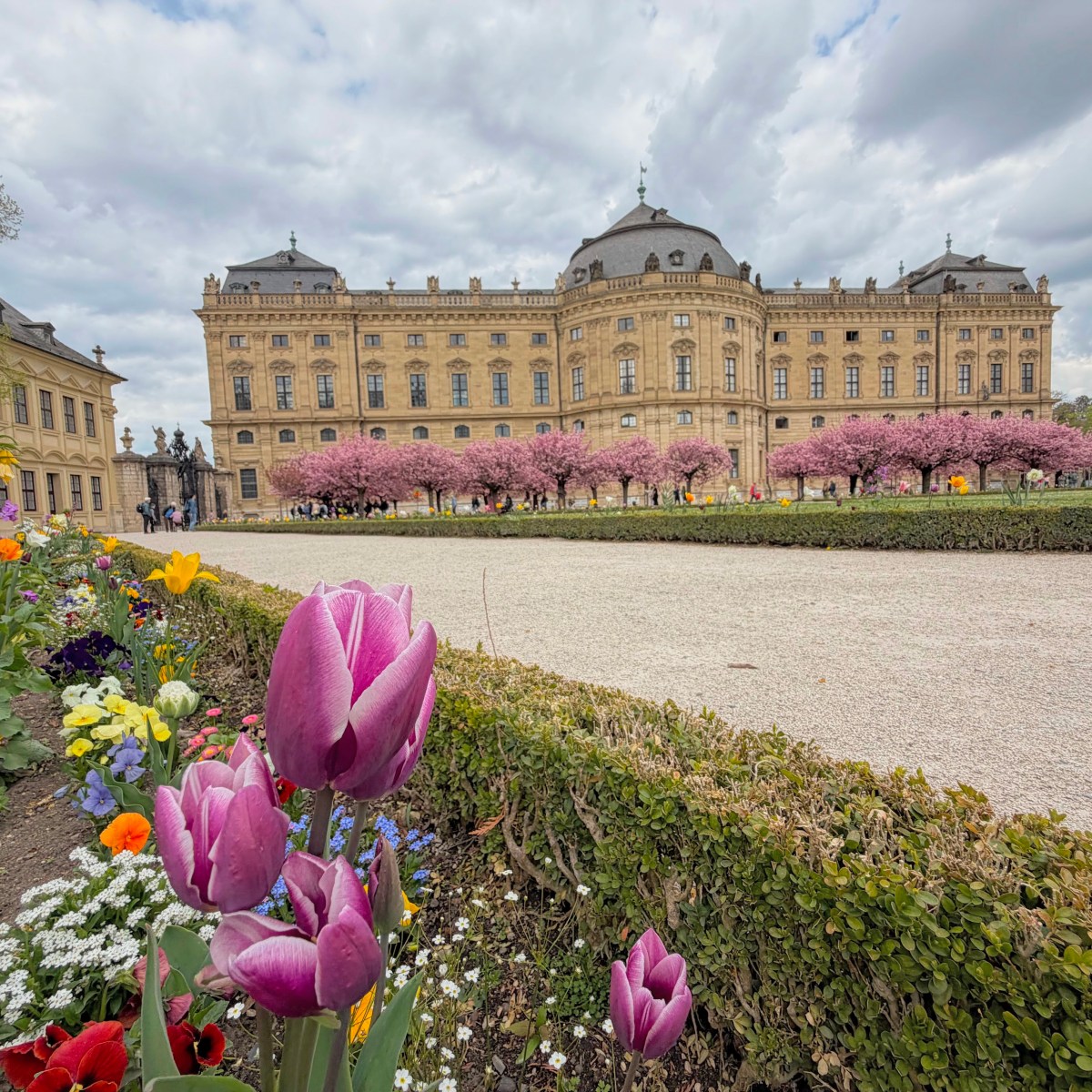 Palaces, Medieval Towns, Storks & the Start of a Fairytale Road Trip- Germany Days&nbsp;1–4: