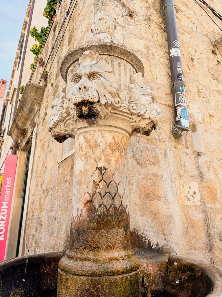 Close-up of a lion-shaped stone fountain with water flowing from its mouth, set against a textured stone wall.